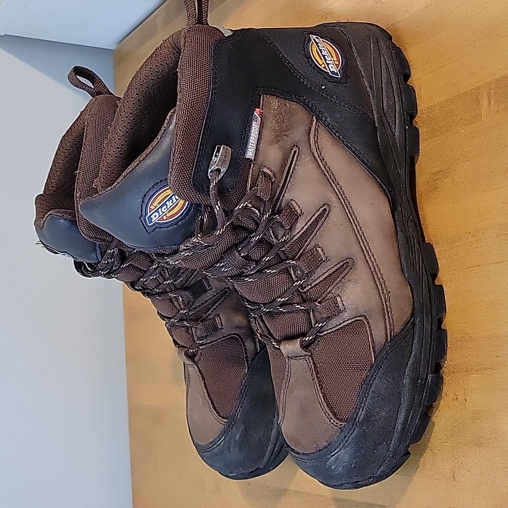 Dickie SAFETY TOE HIKING BOOT